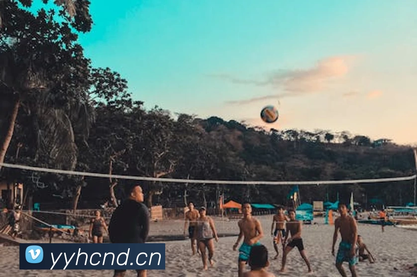 196体育最新官方网站下载(中国) - 官方网站APP 封面图